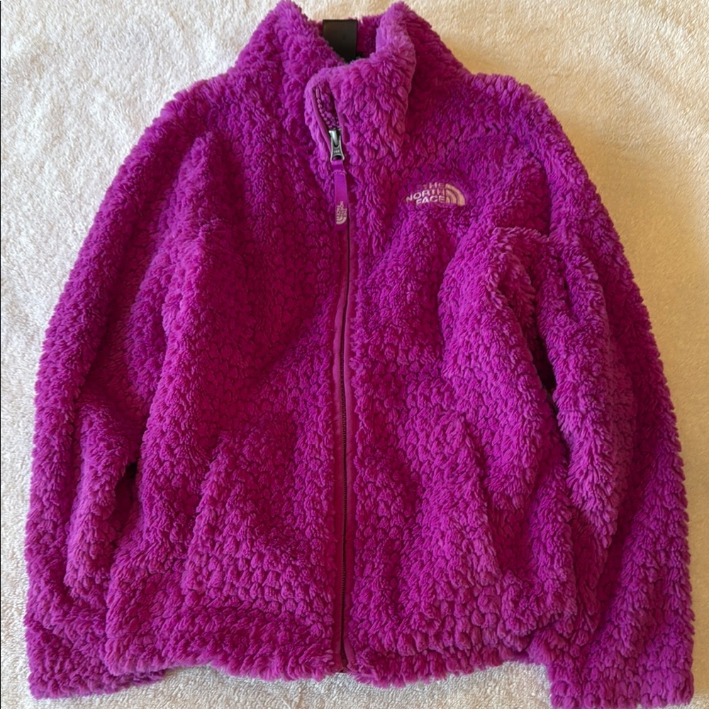 The North Face Kids' Purple Fleece Jacket
